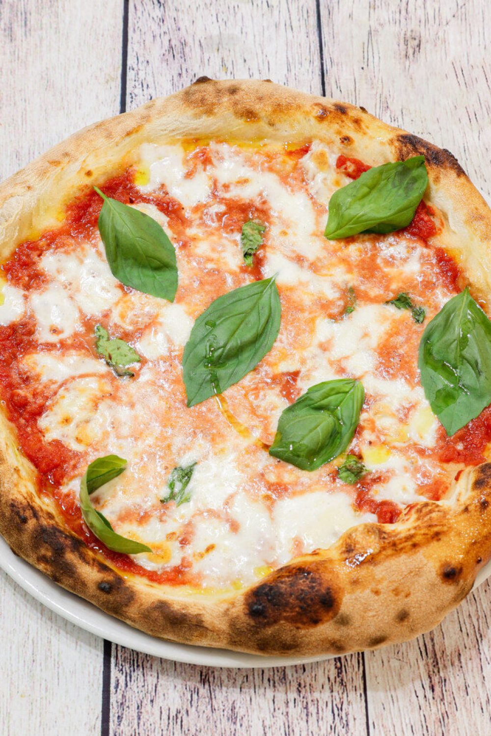 terra_mia__puerto_de_la_cruz_pizza_margeritta_550x440